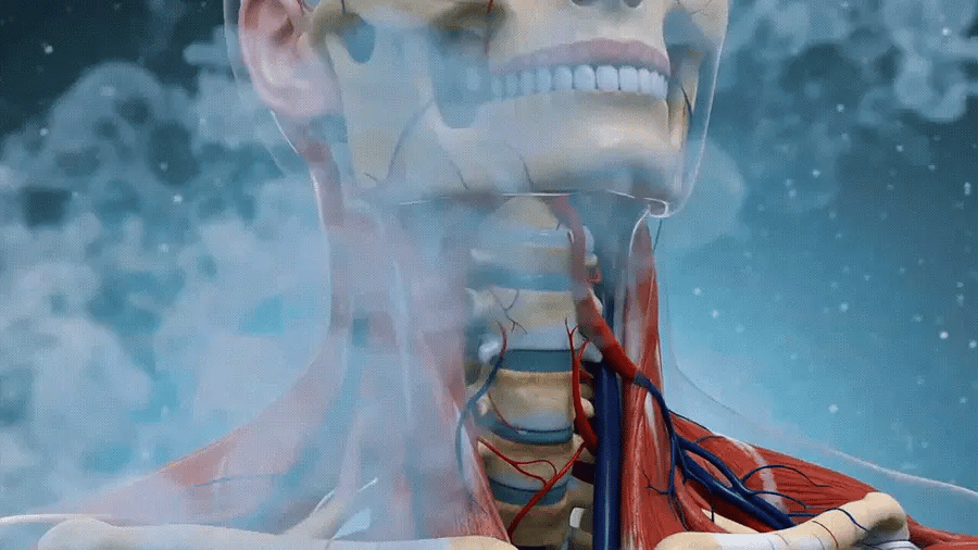 Cervical spine curve loss animation showing how the 26-degree arch flattens over time